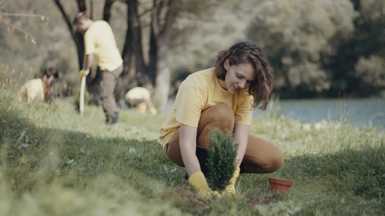 Best Lawn Watering Services  in Lisle, IL
