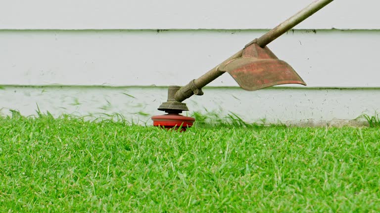Best Tree Disease Treatment  in Lisle, IL